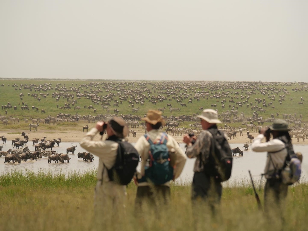 Photography Safari