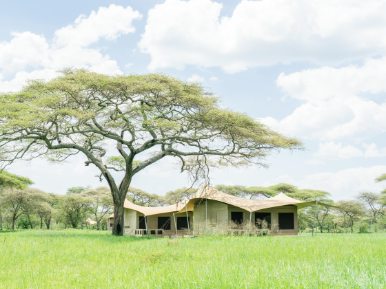 kid-friendly safari experiences