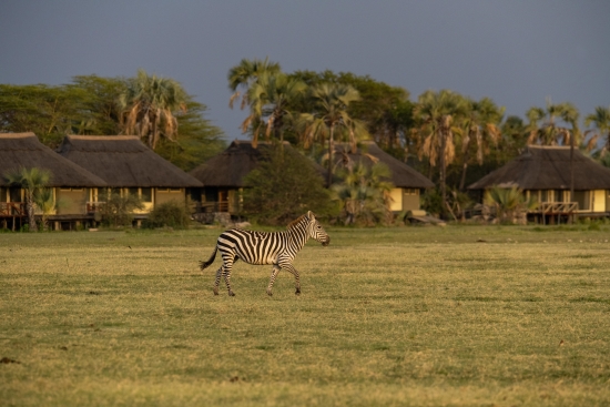 Maramboi Tented Lodge Tarangire