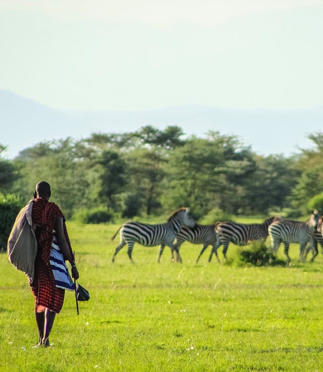 Safari Deal in Tanzania