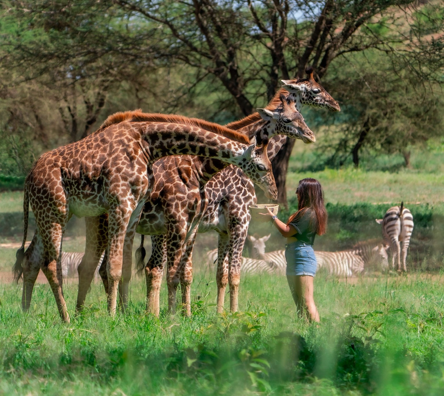 Serval Wildlife Sanctuary